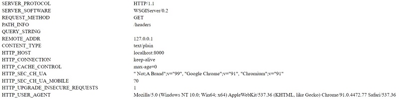 Django Request Object - Provided Information.